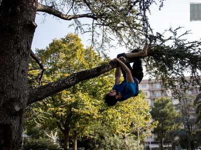 E come se non bastasse, successivamente si arrampica su un ramo pi� robusto...